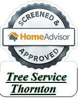 A Lifetime Of Quality Tree Care & Landscaping