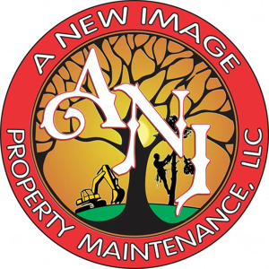 A New Image Property Maintenance