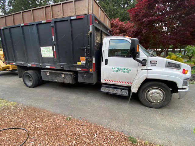 A white dump truck with the AA Tree Service logo and contact information, ready for work in Kent, WA.