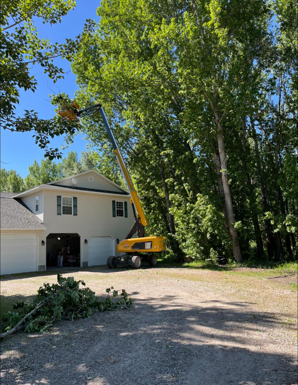 A tree service worker in an aerial lift trimming branches near a house for Ashton Tree Service in Rexburg, ID.