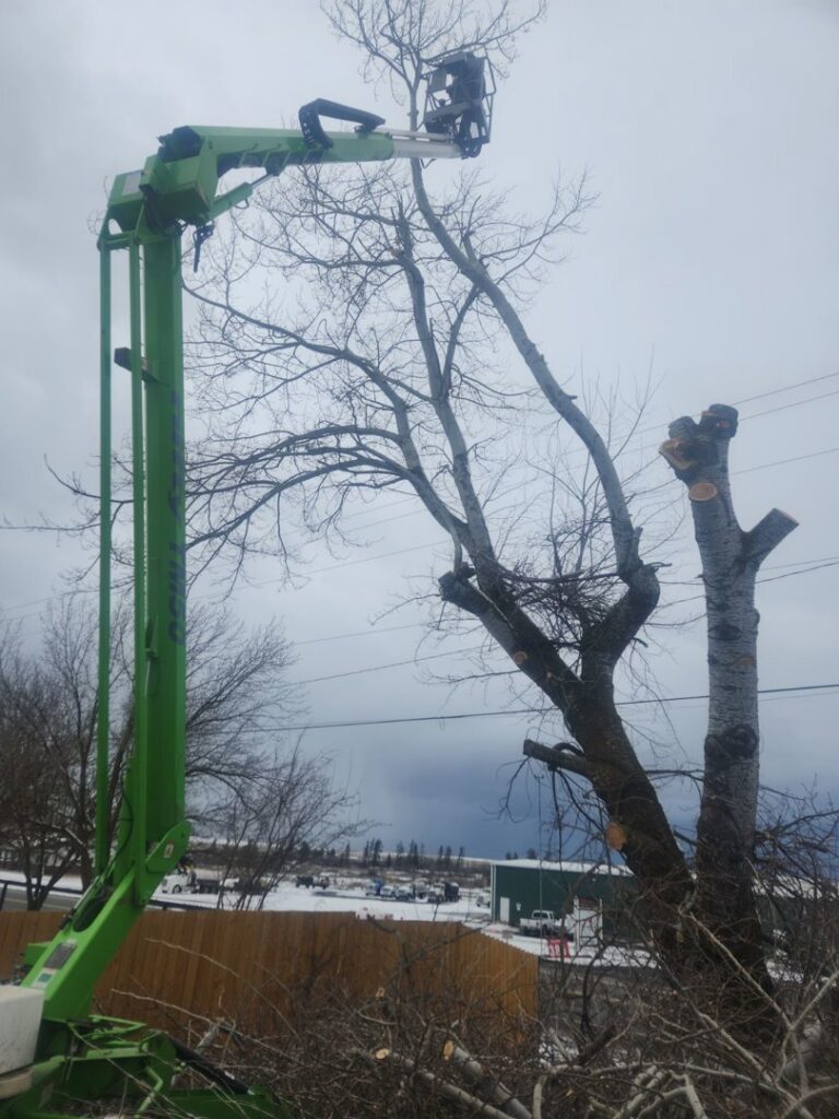 An aerial lift with a worker trimming a bare tree, with cut branches on the ground, by Loughnan Logging-Tree Service in Spokane Valley, WA.