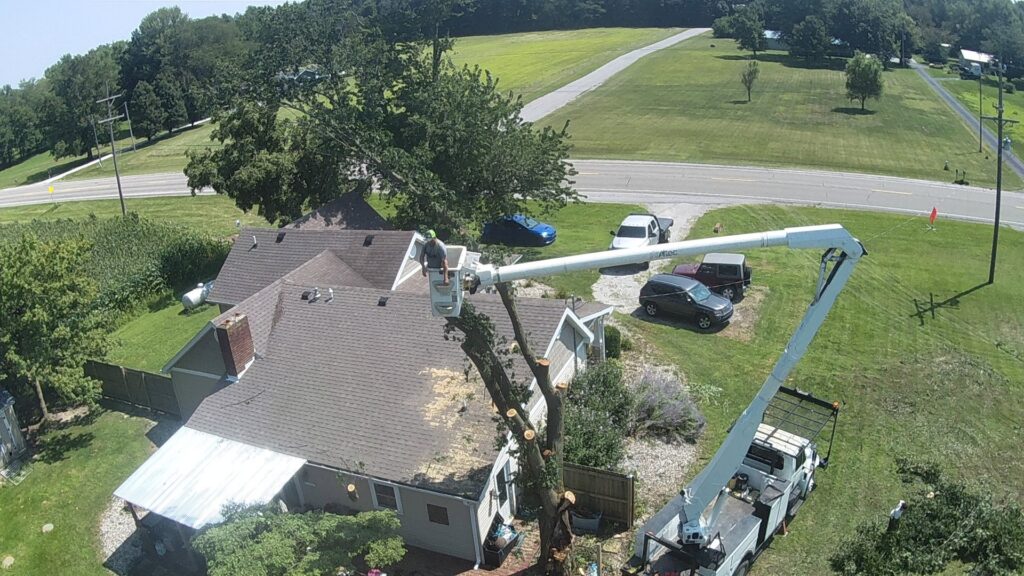 An aerial view of a worker in a bucket truck removing a tree near a house, with cut branches on the roof, by Crockett's Tree Service in Lafayette, IN.