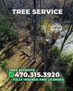 Aerial view of a tree service worker in a tree with ground crew performing tree removal for Resurgens Tree Service, Flowery Branch, GA.