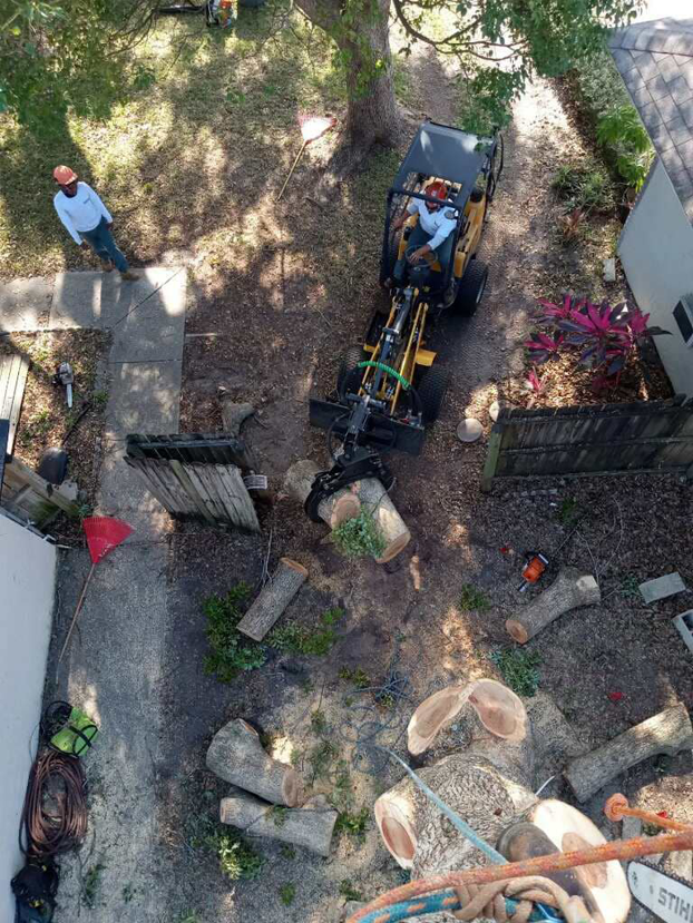 An aerial view of YardFellas Tree Services performing log cleanup with a mini skid steer in Casselberry, FL.
