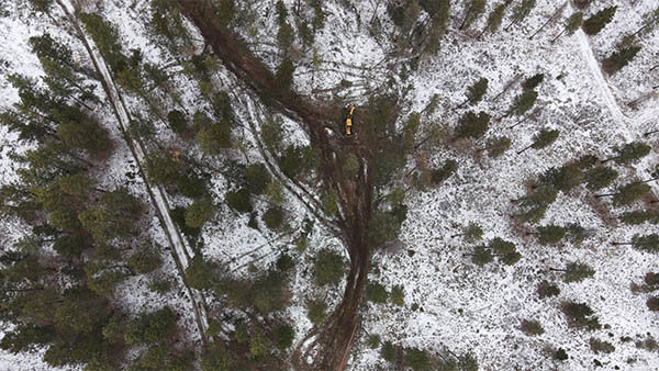 An aerial view of a logging operation with cleared paths and log piles in a snowy forest by Martelli Forestry in Anaconda, MT.