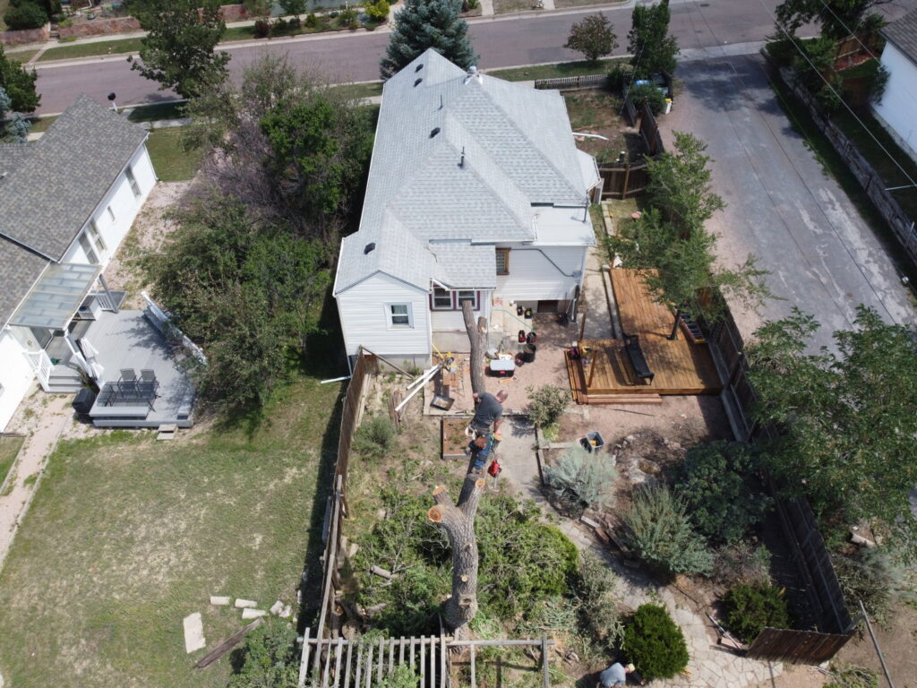 An aerial view of an arborist working on tree removal in a residential backyard by Central Colorado Tree Service in Colorado Springs, CO.