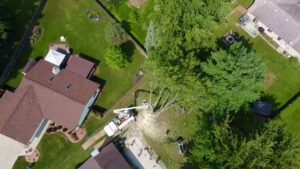 An aerial view of a residential tree removal job with a bucket truck by Snyder's Tree Service LLC in Fort Wayne, IN.