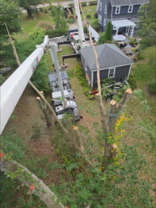 An aerial view of a tree removal job in progress with a crane by Malec Tree Service in Harrisville, RI