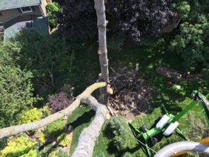 An aerial view of tree removal in progress with equipment and wood debris by Autumn's Tree Care and Seasonal Services in Janesville, WI