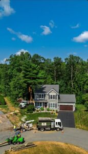 An aerial view of a residential property showing tree removal equipment and crew from Trail Based Tree Service in Schenectady, NY.