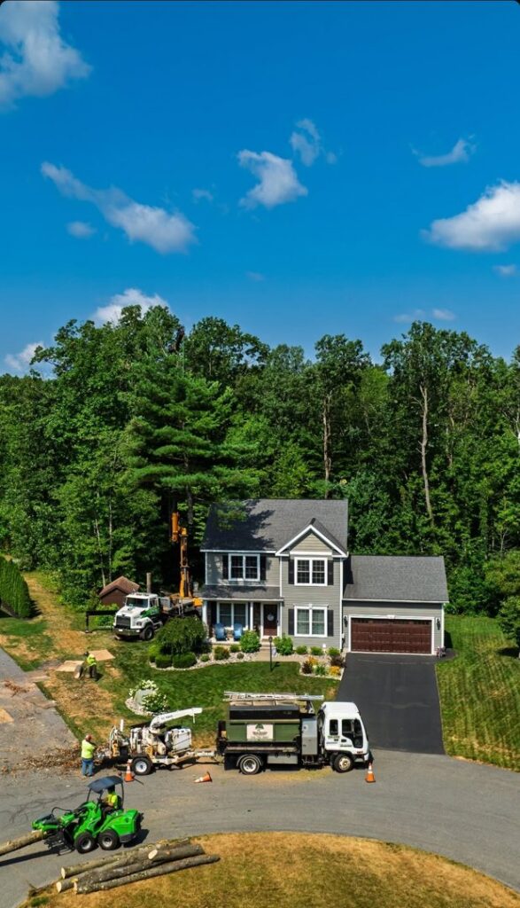 An aerial view of a residential property showing tree removal equipment and crew from Trail Based Tree Service in Schenectady, NY.
