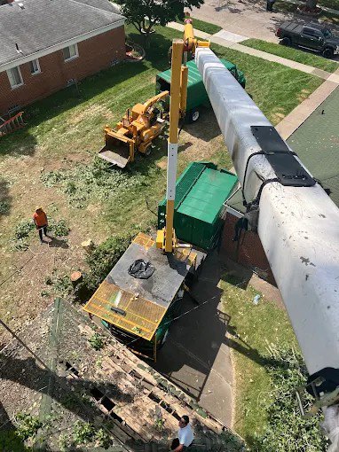 An aerial view from a bucket lift shows a tree removal job in progress with equipment and workers from Magee Tree Service in Detroit, MI.