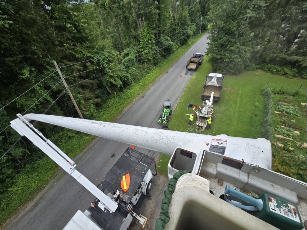 An aerial view from a bucket lift showing a tree removal operation by Trail Based Tree Service in Schenectady, NY.