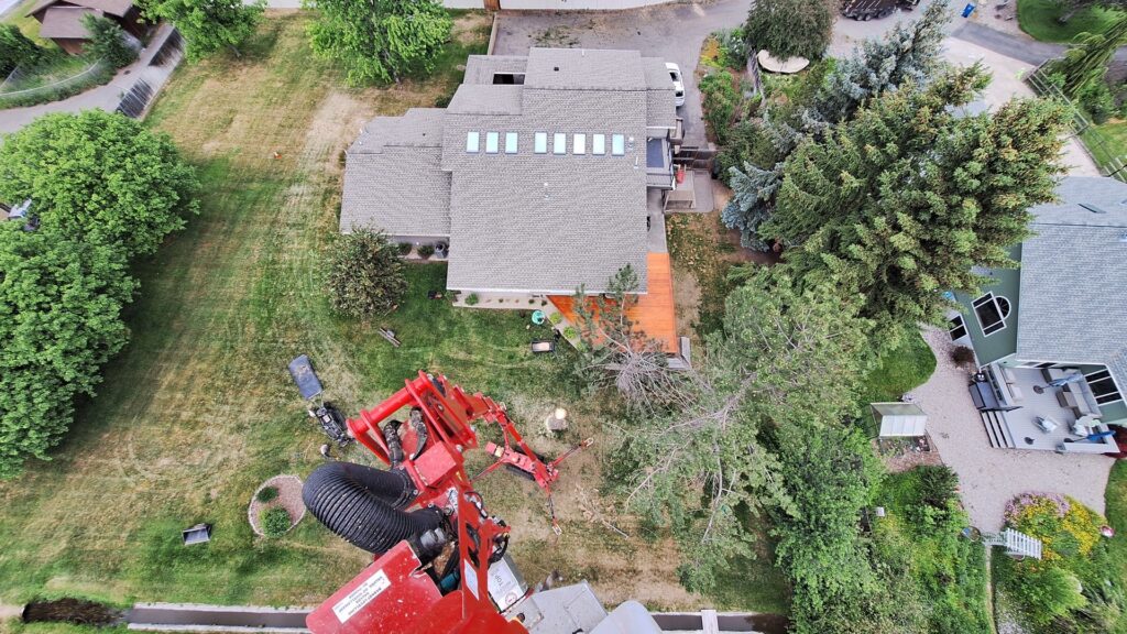 An aerial view of a tree removal site with a spider lift and residential property by Mountain Tree Company in Missoula, MT.