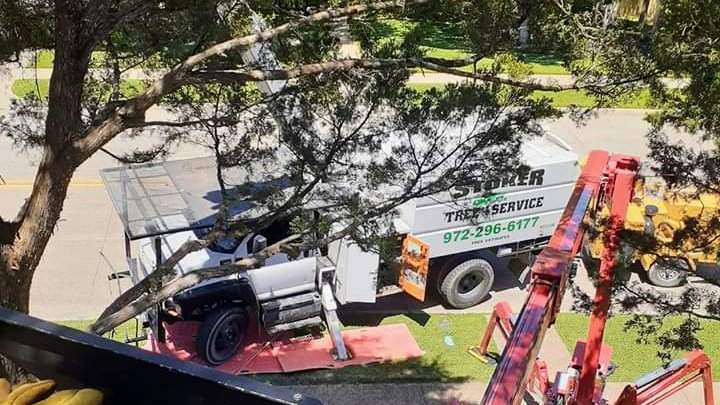 An aerial view of a Stoker Tree Service truck and a red spider lift performing tree removal in Dallas, TX.