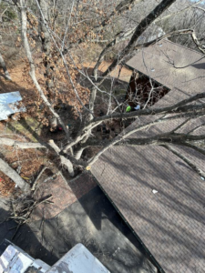 An aerial view of tree trimming and removal work being performed over a residential property by Superior Tree and Stump LLC in Topeka, KS.