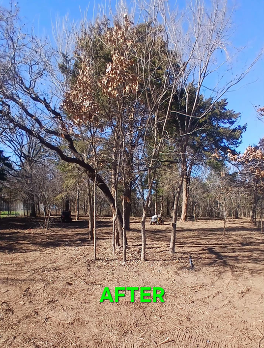 Cleared land after tree removal and brush clearing by D&D Tree Service in Stillwater, OK.