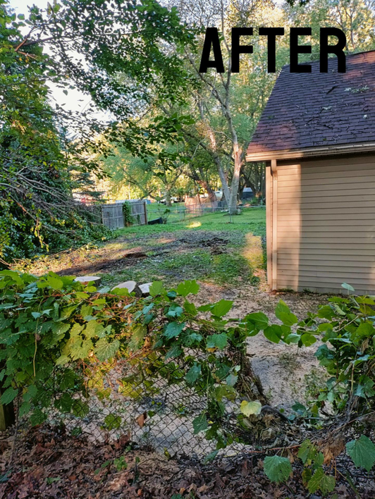 An "AFTER" view of a backyard, cleared of trees and debris, showcasing work by Good Fellers Tree Services in Westland, MI.