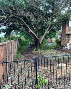 A backyard after tree removal and stump grinding services by SGC Services in Fort Worth, TX.