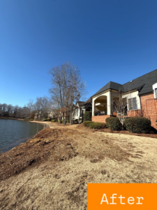 An "after" view of a lakefront property with cleared landscaping following tree service work by Hall's Tree Service in Paw Paw, MI.