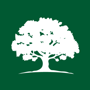 All Branched Out Tree Experts