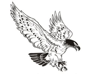 American Eagle Waste