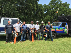 The Anderton Tree Service team posing with chainsaws and equipment in Fort Worth, TX