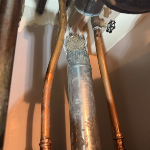 A close-up view of a small animal stuck in a vent pipe, a common issue handled by Odd Job Larry in Kenosha, WI.