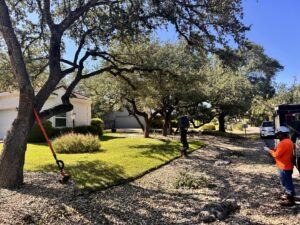 An arborist in an orange shirt conducting an assessment near a tree, with a tree service truck in the background, for Tree Scouts Tree Service & Trimming Georgetown in Austin, TX.