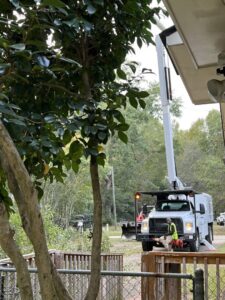 An arborist in a bucket lift performing tree trimming services near a residential home for State Tree Services, Inc in Sumter, SC.