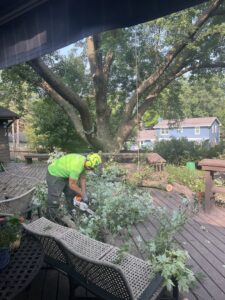 An arborist using a chainsaw to cut branches on a residential deck for Arbor Aesthetics Tree Service in Omaha, NE.