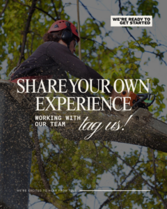 An arborist using a chainsaw for tree trimming and removal services by Heartwood Tree Care in Charleston, SC.