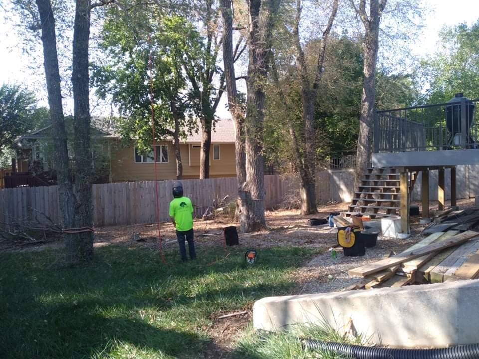 An arborist with climbing gear preparing for tree trimming at a job site for Arbor Med Tree Service in Wichita, KS.