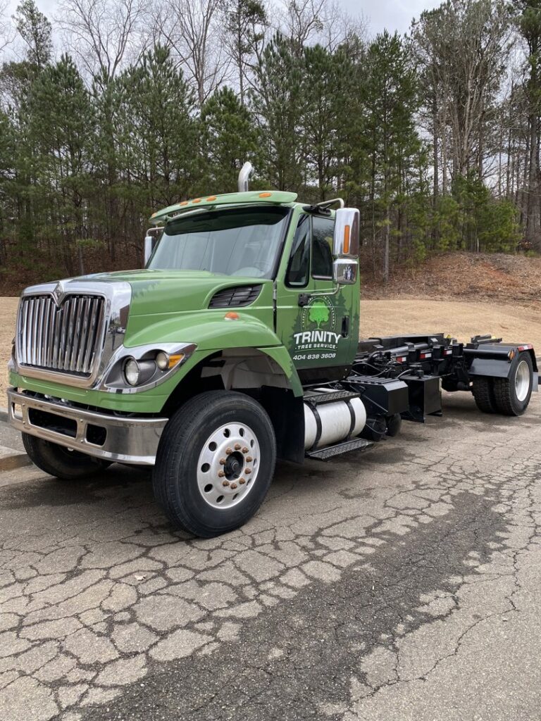 An arborist climbing a tall pine tree with ropes for trimming services by Trinity Tree Service in Cumming, GA.