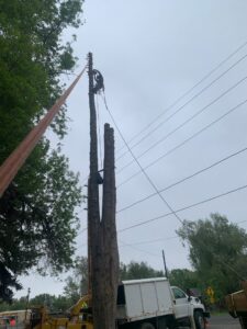 An arborist climbing a tall tree for trimming or removal, with equipment below, by Parkview Tree Service in Sheridan, WY.