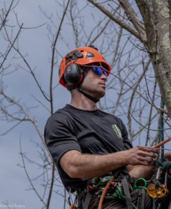 A skilled arborist in full safety gear, including helmet and harness, preparing for tree work at Ethical Tree Services in Woonsocket, RI.