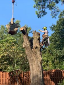 An arborist directing a crane during a tree removal and trimming service by 706 Tree and Stump in Augusta, GA.