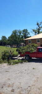 An arborist cutting tree branches on the ground next to a truck loaded with debris for Aboriginal Arborists llc in Des Moines, IA.