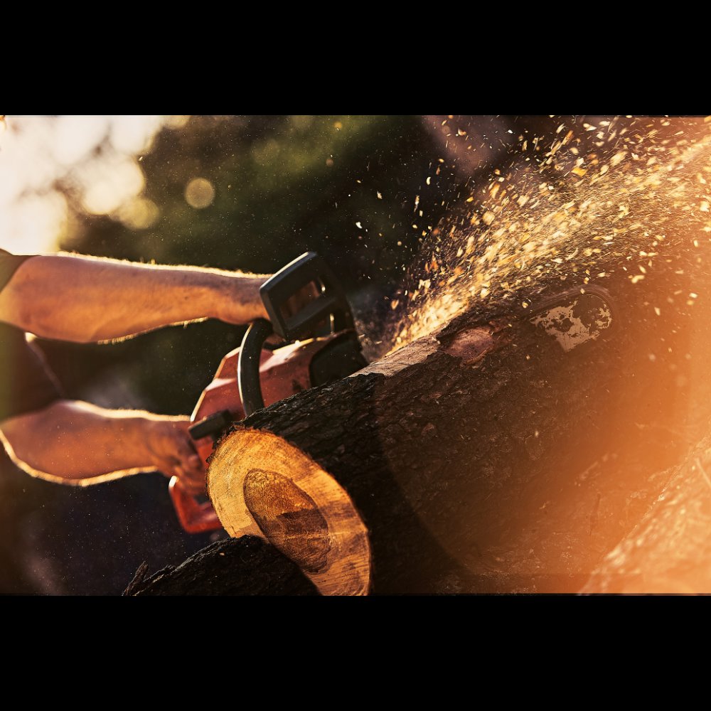 An arborist cutting a large log with a chainsaw, creating sawdust, for PA JB Tree Service in Reading, PA.