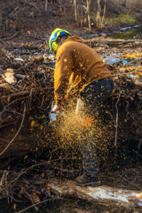 An arborist cutting a log with a chainsaw, creating a shower of wood chips, for Deep roots tree care LLC in Duluth, MN.