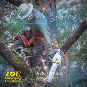 An arborist in safety gear cutting a tree branch with a chainsaw for ZOE Tree Service & landscaping in Alpharetta, GA