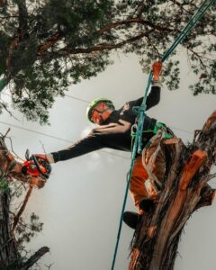 An arborist in a helmet and harness using a chainsaw to cut a tree branch, performed by Tree Scouts Tree Service & Trimming Georgetown in Austin, TX.