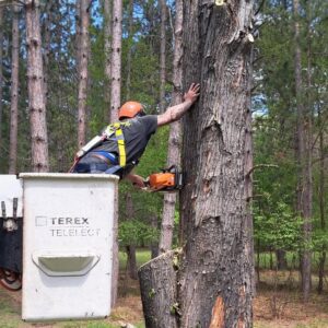 An arborist in a bucket truck wearing safety gear, cutting a tree trunk with a chainsaw for Klee Logging & Tree Service Inc. in Green Bay, WI.