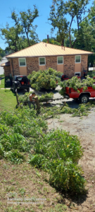 An arborist cutting a tree trunk on the ground surrounded by debris, with a truck nearby, for Aboriginal Arborists llc in Des Moines, IA.