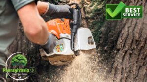 An arborist cutting a tree trunk with a chainsaw, providing tree service for PA JB Tree Service in Reading, PA.
