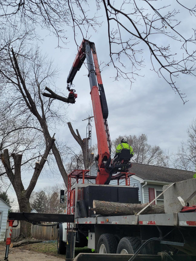 An arborist in a boom lift safely cutting a tree branch with a chainsaw for Lp Tree Service in Janesville, WI
