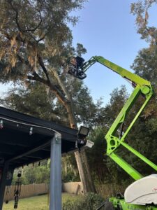 An arborist from Eagerton Tree Service, LLC in a boom lift trimming a tree near a residential roof in Ponte Vedra Beach, FL.