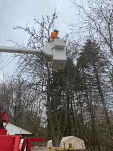 An arborist in a bucket truck elevated to trim a tree, providing expert tree service by Stick Chasers Tree Service in Racine, WI.