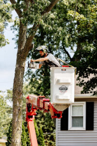 An arborist in a Snyder's Tree Service LLC bucket truck trimming a tree near a residential home in Fort Wayne, IN.