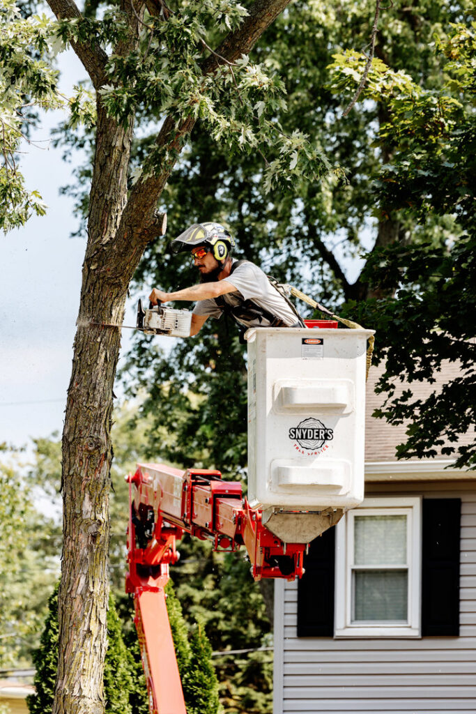 An arborist in a Snyder's Tree Service LLC bucket truck trimming a tree near a residential home in Fort Wayne, IN.